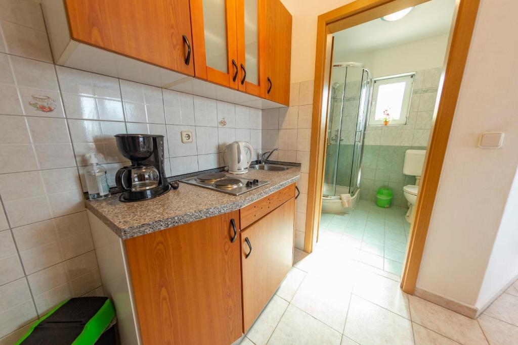 Kuchyň nebo kuchyňský kout v ubytování Apartments Anita