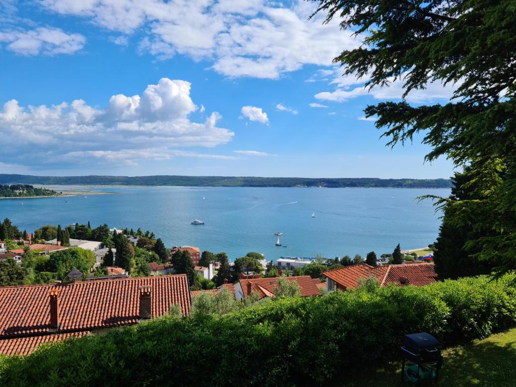 a view of a large body of water with houses at Apartments Vila Toni in Portorož
