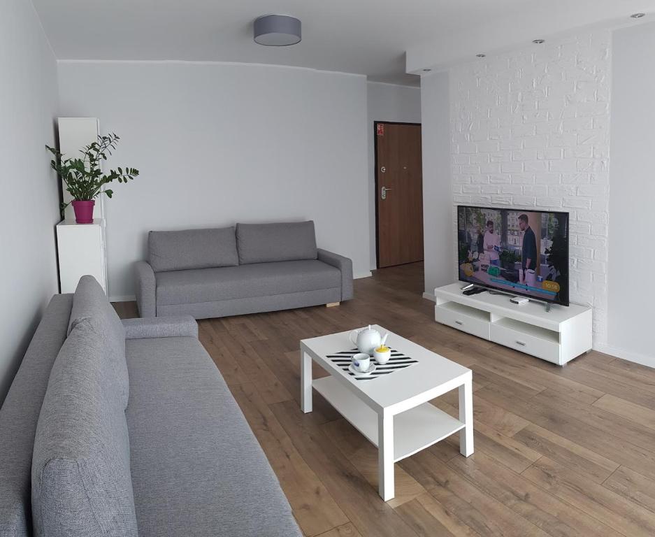 een woonkamer met een bank, een tafel en een tv bij Apartamenty Gdańsk Angielska Grobla in Gdańsk