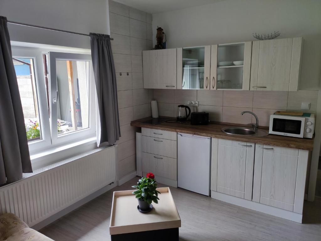 Fotografie z fotogalerie ubytování Apartmán Oto 1 Apartmán Oto 2 Úpská 490, Svoboda nad Úpou ve Svobodě nad Úpou