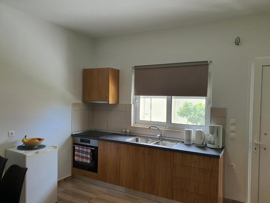 Kuchyň nebo kuchyňský kout v ubytování Perama View Apartments