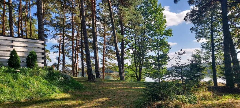 Príroda v okolí dovolenkového domu