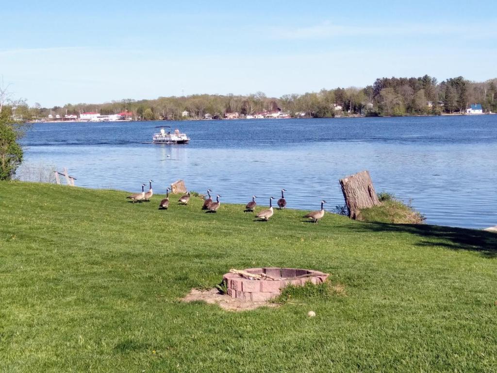 Kettle Moraine Lake House, Campbellsport Updated 2024 Prices