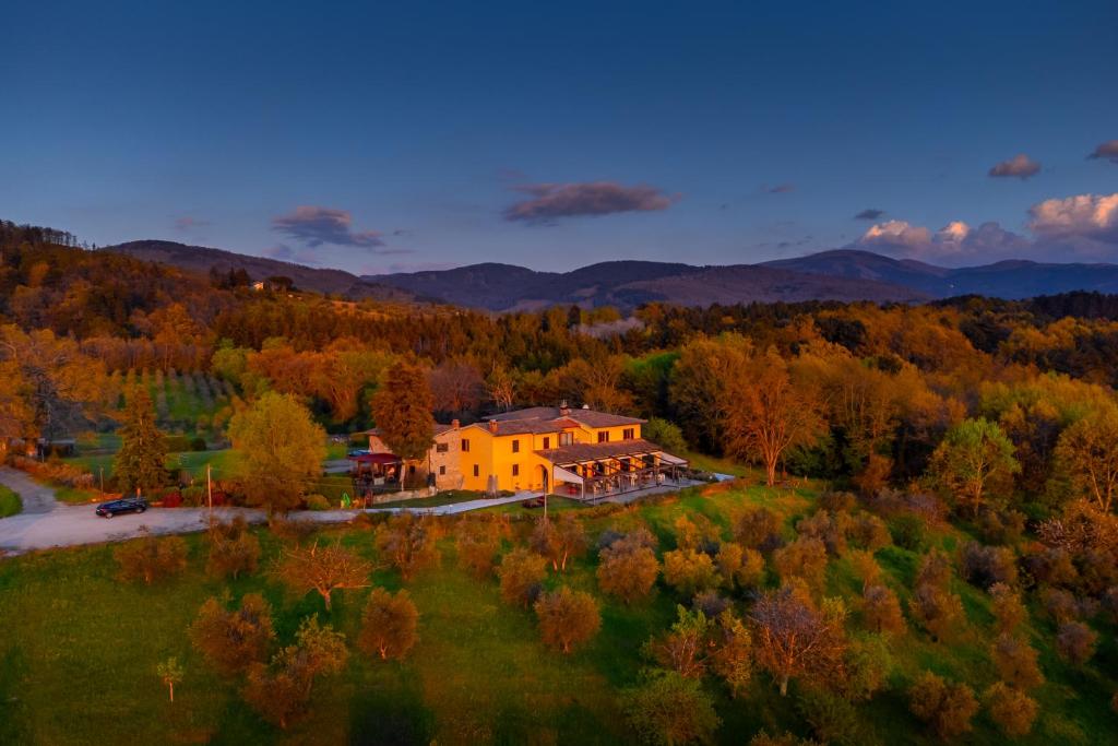 an aerial view of a house in the woods at Tenuta Risalpiano in Pelago