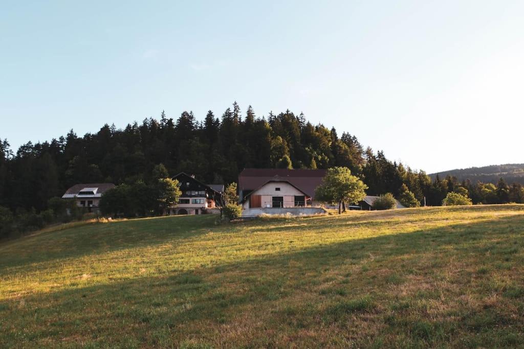 Příroda nedaleko apartmánu
