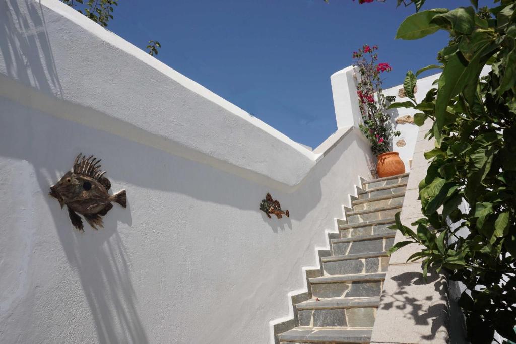 Fotografie z fotogalerie ubytování Patmos Maria Studios v destinaci Skala