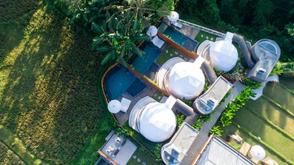 Triyana Resort and Glamping dari pandangan mata burung