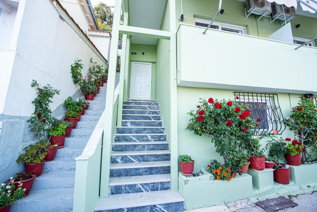 Zahrada ubytování Olympia House