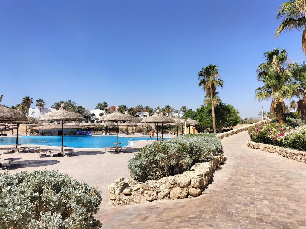 ein Resort mit einem Pool und Palmen in der Unterkunft Coral Bay Roby in Sharm El Sheikh