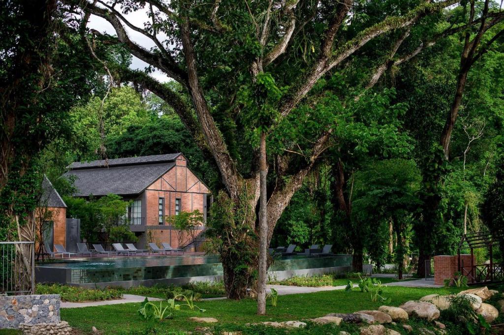 un gran árbol frente a una casa en Flora Creek Chiang Mai, en Hang Dong