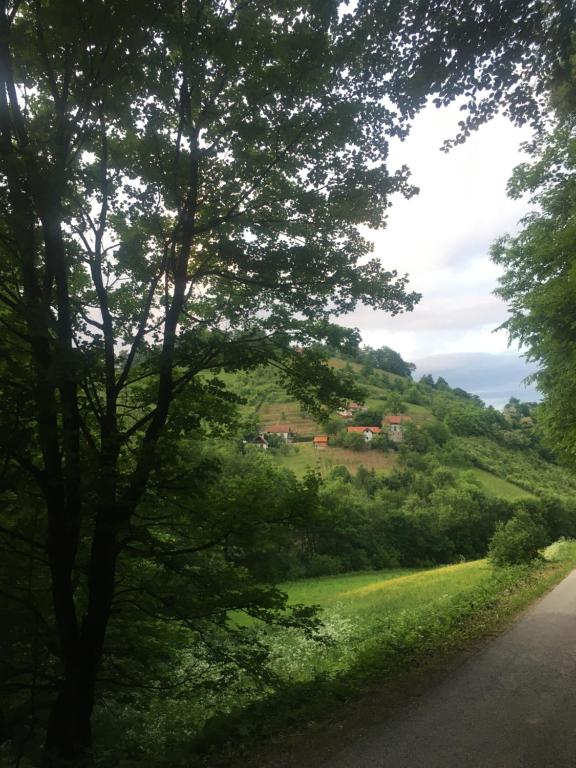 Příroda nedaleko apartmánu