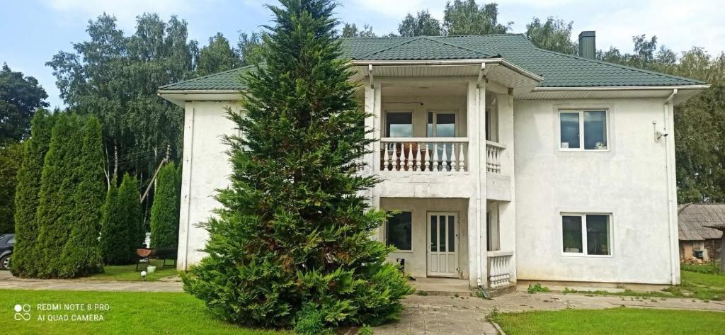 een groot wit huis met een boom ervoor bij Svečių namai prie Širvintų in Akmeniai