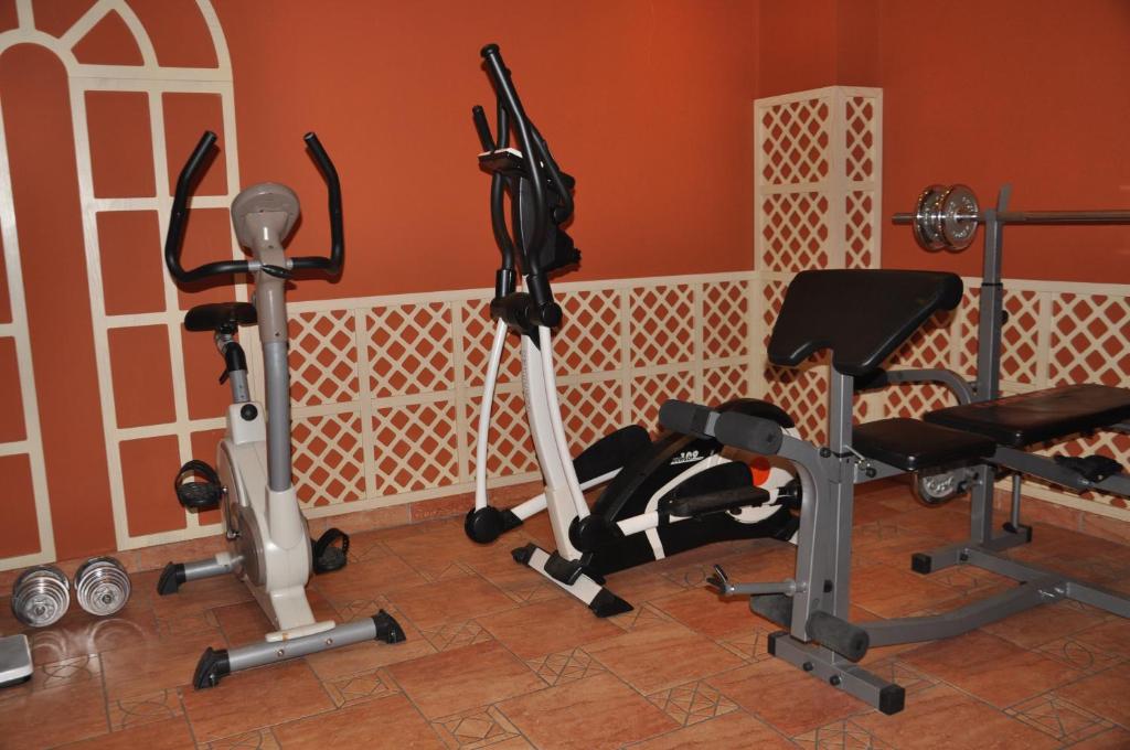 Fitness centrum a/nebo fitness zařízení v ubytování Hotel Ambasador Prishtina