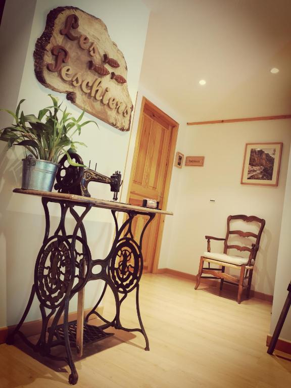 a table with a plant on it in a room at Chambres d'hôtes Les Peschiers in Chateauroux-les-Alpes