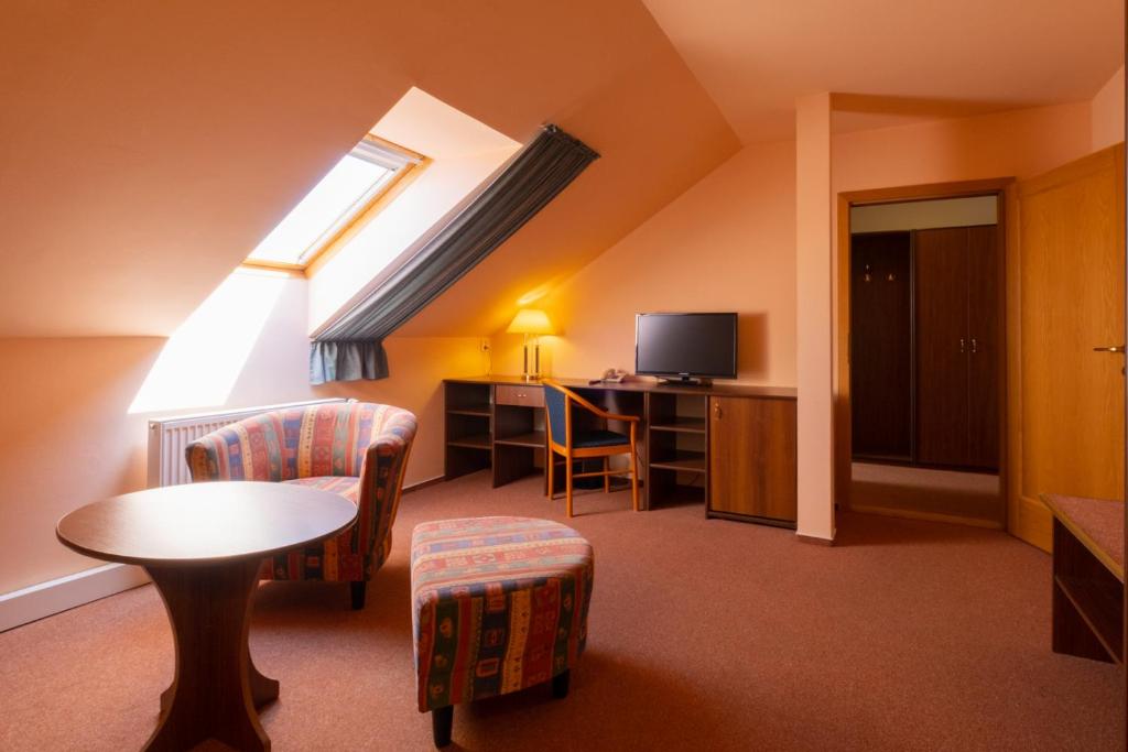 TV a/nebo společenská místnost v ubytování Hotel Mohelnice