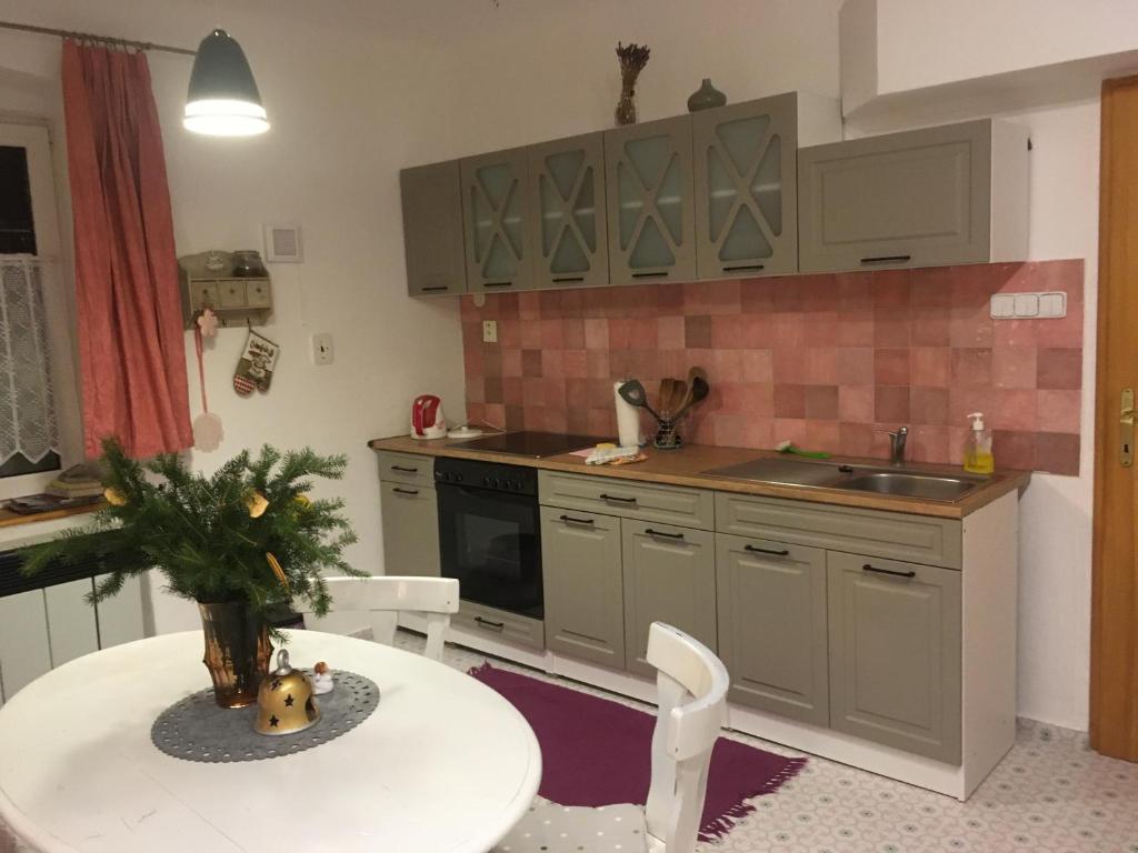 Köök või kööginurk majutusasutuses Apartmány Statek Číměř