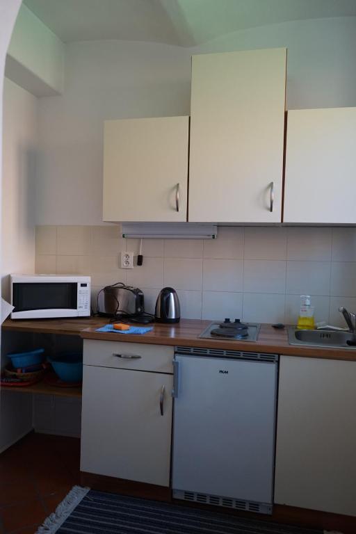 Köök või kööginurk majutusasutuses Apartmány Statek Číměř