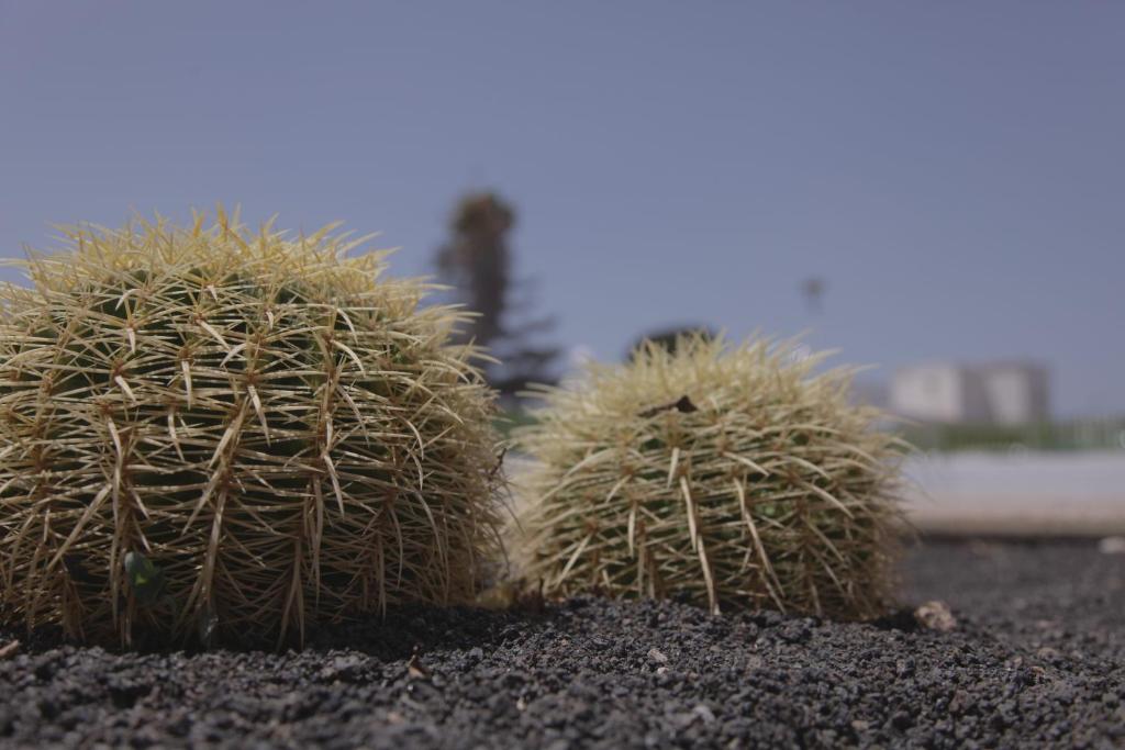 Apartamentos Flamboyant Adults Only - 13