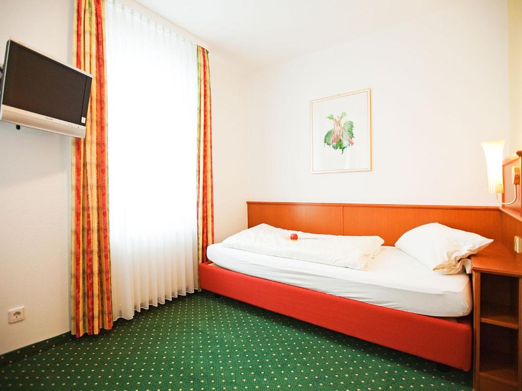 Widmann's Löwen - Comfort Single Room