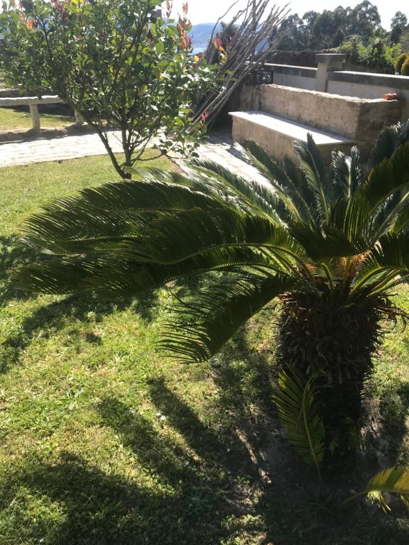 Vonkajšia záhrada v ubytovaní Loira ático con vistas al mar