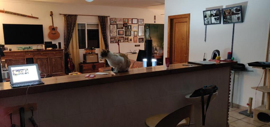 Fotografie z fotogalerie ubytování Villa Tierra Roja v Malaze