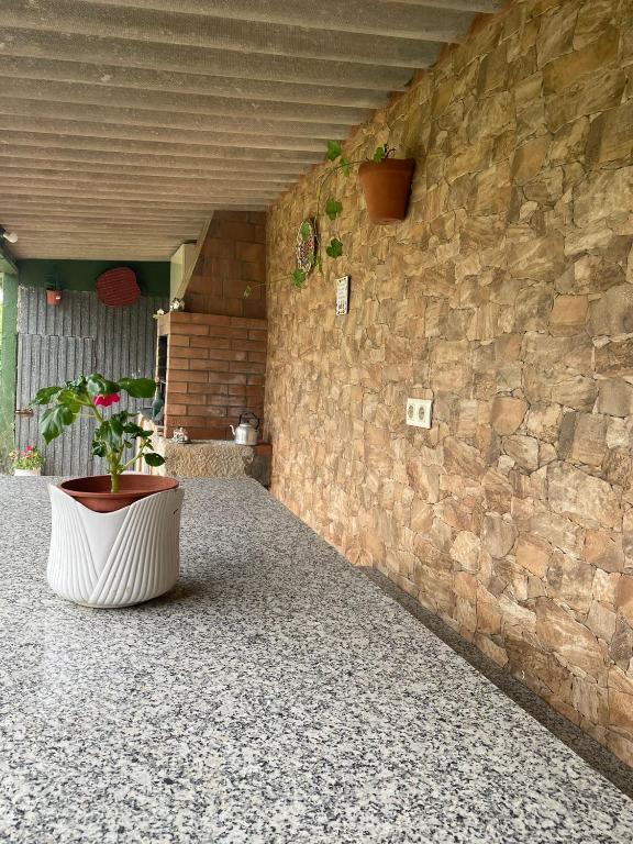 Fotografia z galérie ubytovania Pensión Residencia Casa Teresa v destinácii Vista Alegre