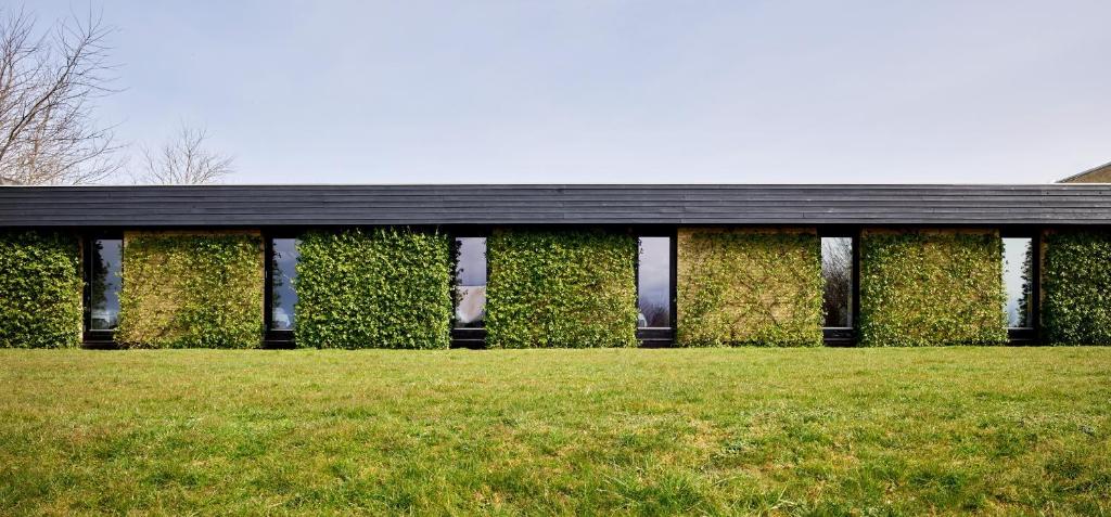 een gebouw met planten aan de zijkant bij Huset Middelfart in Middelfart