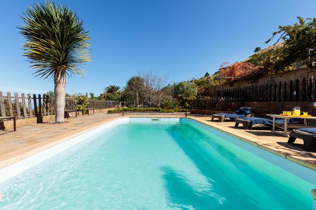 a swimming pool with a palm tree and a table at Casa Buganvillas, reformado in Puntagorda