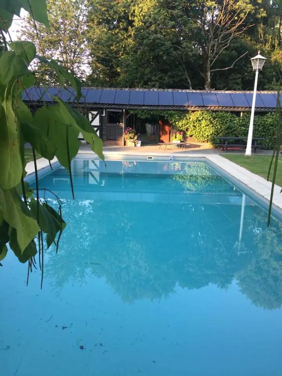 a swimming pool with blue water in front of a house at Eikelhof in Berkel-Enschot