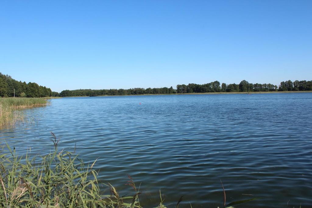 Príroda v okolí farmy