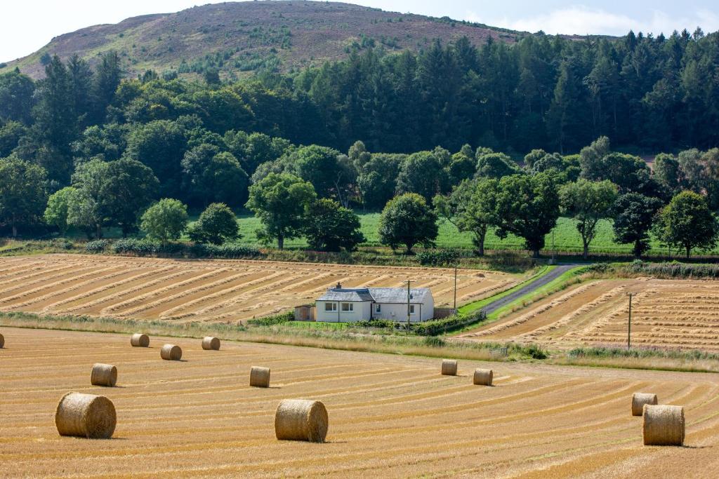 un campo con fardos de heno frente a una montaña en Railway Cottage, Newtyle en Newtyle