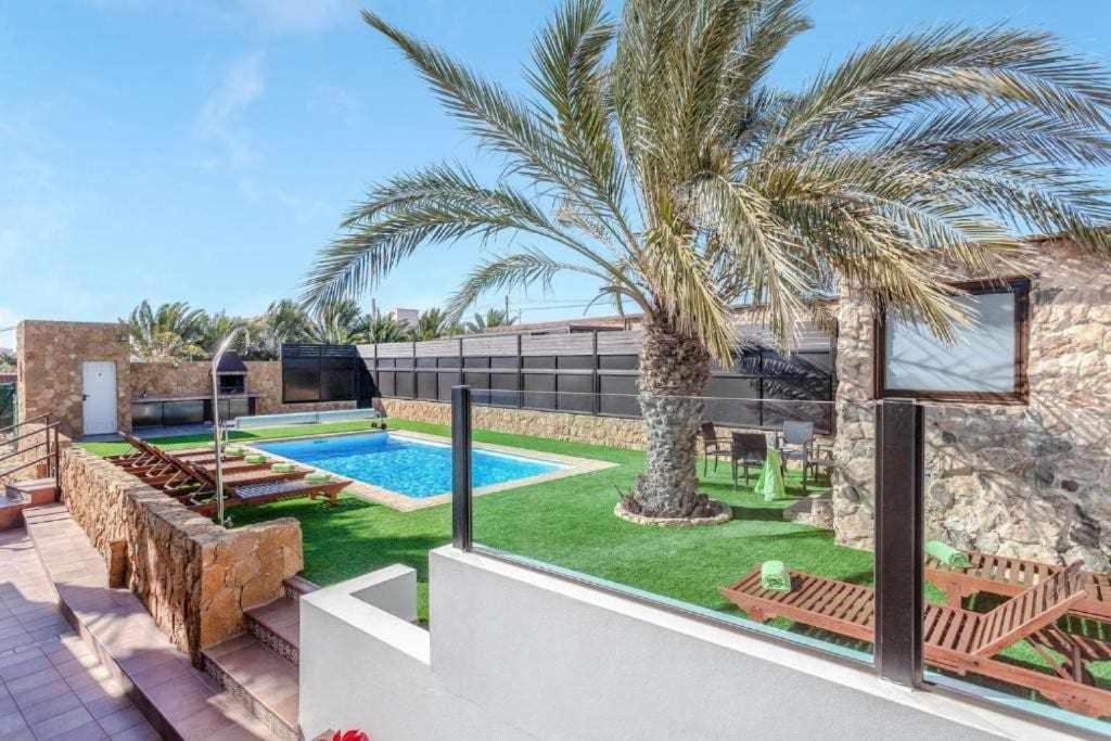 a villa with a palm tree and a swimming pool at Villa cobas con piscina y privada in Triquivijate