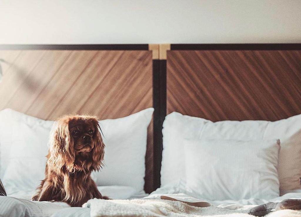 Clarion Hotel Amaranten - Resim 39