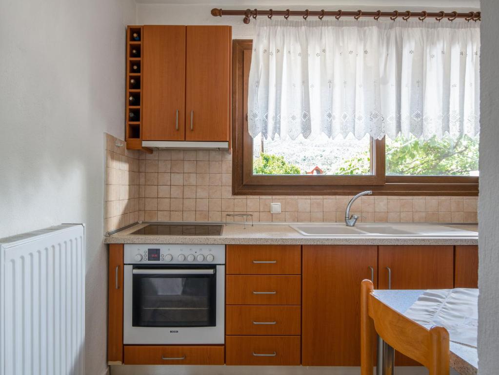 Kuchyň nebo kuchyňský kout v ubytování Thodoros apartment