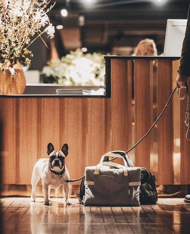 Clarion Hotel Amaranten - Resim 16