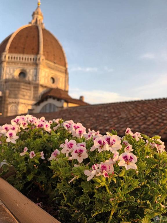 Duomo Suites Florence - Resim 17