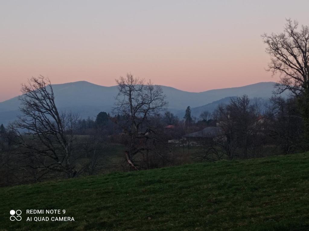 Príroda v okolí apartmánu