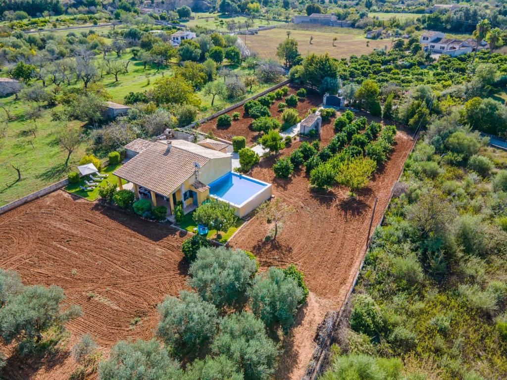 Táj Show holiday homes közelében