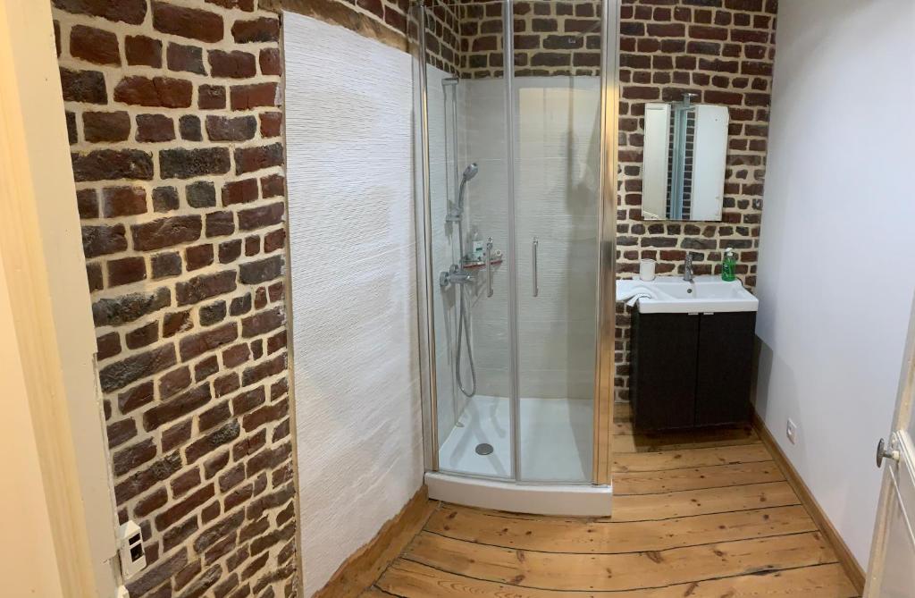 a bathroom with a walk in shower next to a brick wall at VIEUX LILLE Porte de Gand Bienvenue chez NESTYOU, Lille in Lille