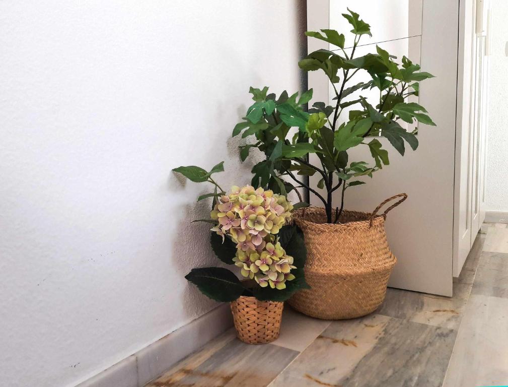 Fotografie z fotogalerie ubytování Lovely Center Apartments Seville - Sunny Balcony Alfalf v destinaci Seville
