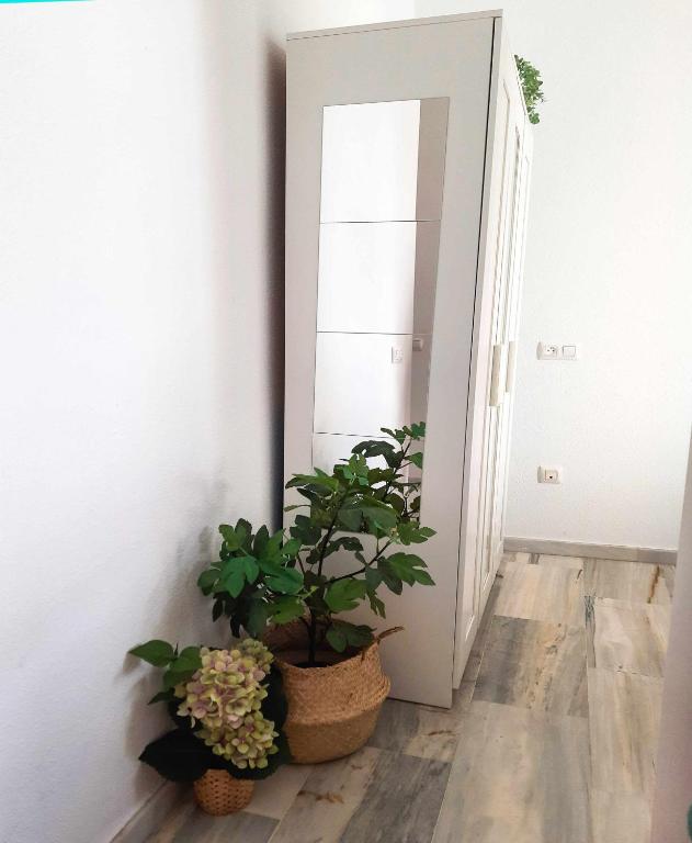 Fotografie z fotogalerie ubytování Lovely Center Apartments Seville - Sunny Balcony Alfalf v destinaci Seville