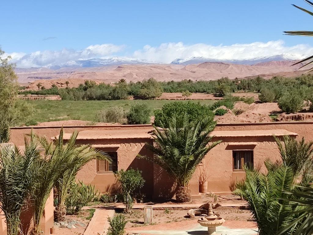 a house in the desert with palm trees and mountains at Maison d'hôtes Tigminou - Adults Only in Aït Benhaddou