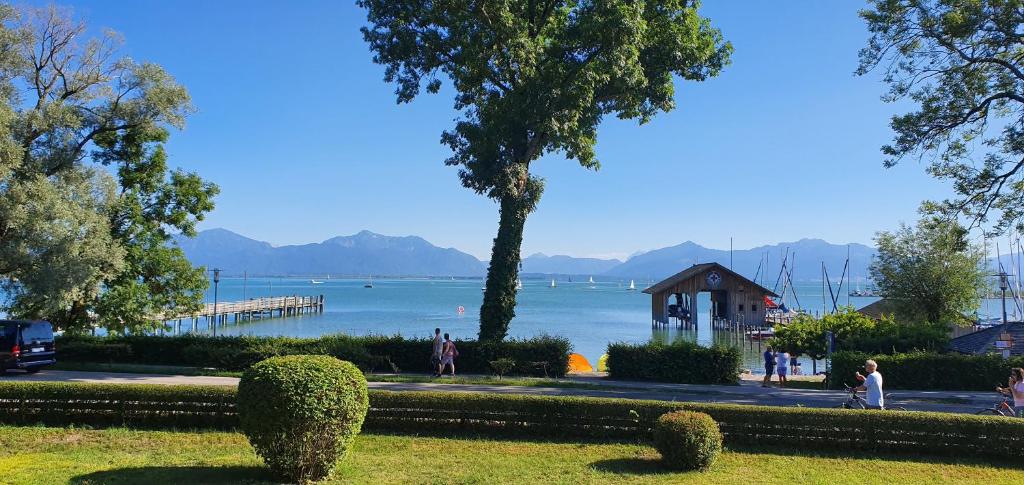 a park with a view of the water and a pier at Ferienwohnung März in Seebruck
