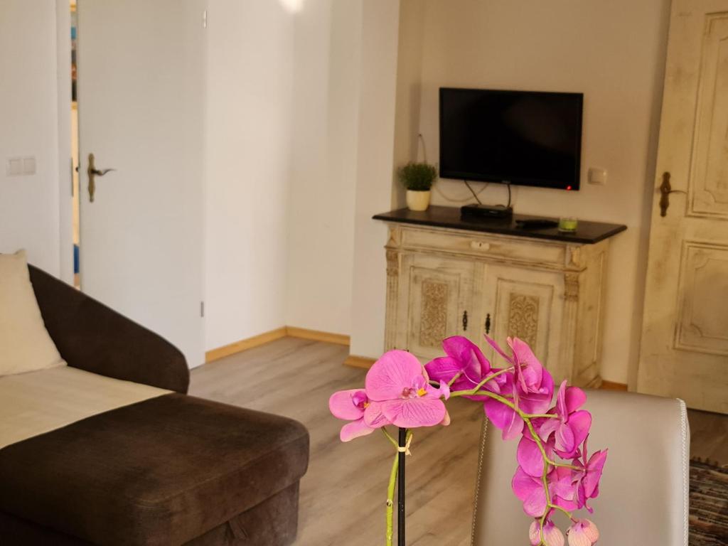 Televízia a/alebo spoločenská miestnosť v ubytovaní Rustic