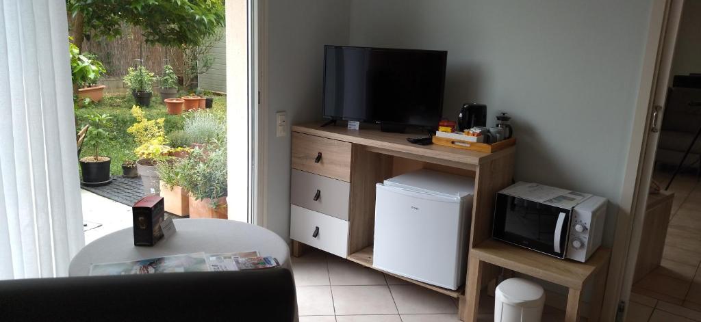 a living room with a television on a stand with a microwave at Fleurs de Cosmos in Albi