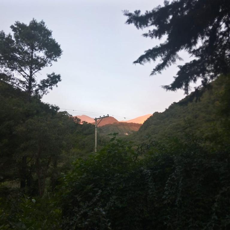 Cabañas Río Los Nogales