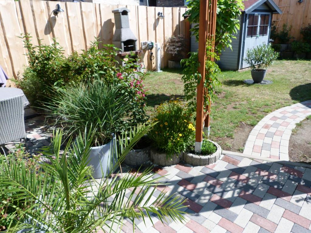 Ferienwohnung-Thale-Ritter - 1