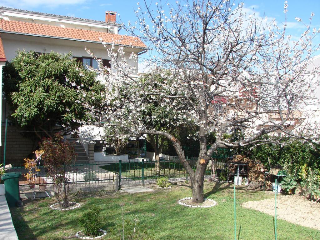 Vonkajšia záhrada v ubytovaní Apartment Svagi Rooftop