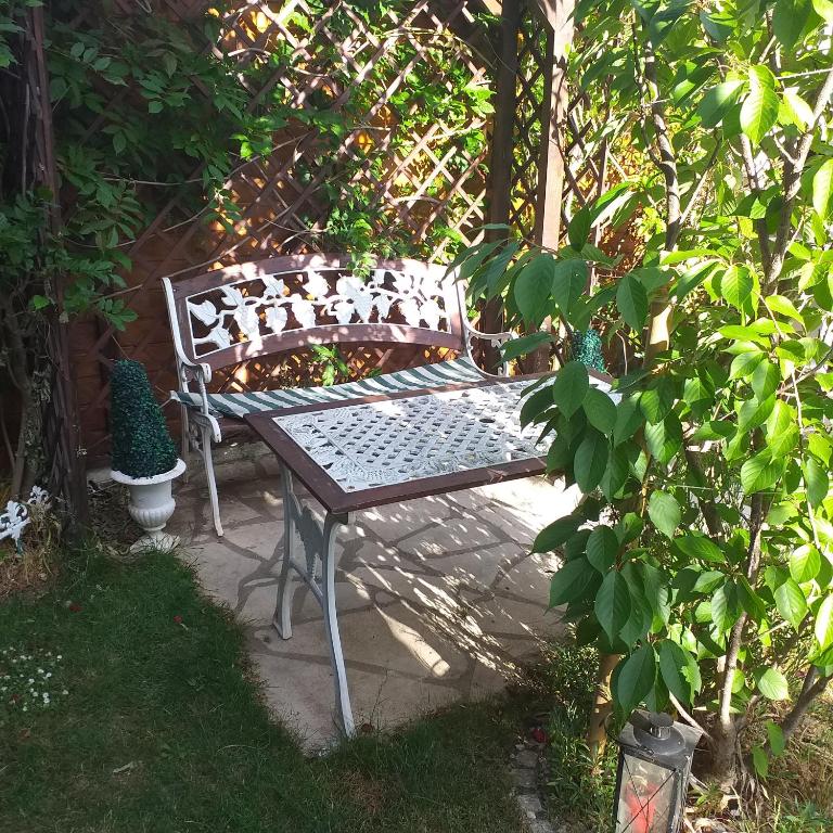 Studio Colmar avec jardin privatif – photo 16