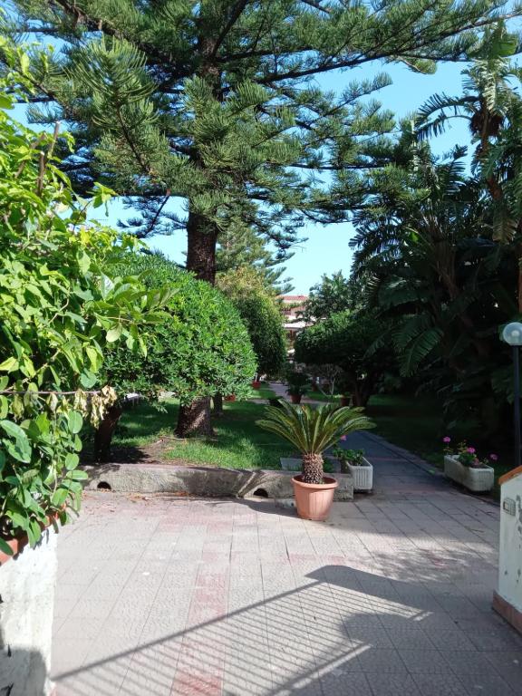 park z drzewami i roślinami i chodnikiem w obiekcie Casa Vacanze La Tonnara w mieście San Giorgio